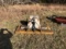 5 ft. Woods Finsh Mower