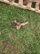 One Cultivator Shank