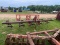 4 Row Glencoe Cultivator