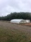 35'x50' Carolina Greenhouse (Located Offsite in Oxford,NC)