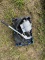 Irrigation Primer