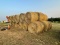 (34) Rolls of Hay