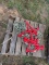 Pallet of Chains & Binders