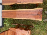 Black Walnut Bench