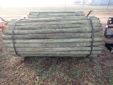 Bundle New Treated 7' posts