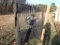 14' Bi Parting Cow Gates