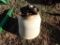 Fertilizer Hopper