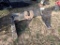Fifth Wheel Truck Hitch