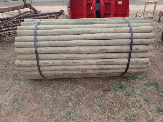 Appx 100 Treated Posts