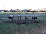 Four Row Holland Tobacco Planter