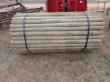 Appx 100 Treated Posts