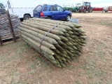 Appx 100 Treated Posts