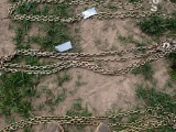 New 5/16 Chain