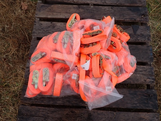 (50) 3.8cmx5m Ratchet Straps