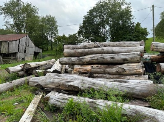 CURLY MAPLE LOGS