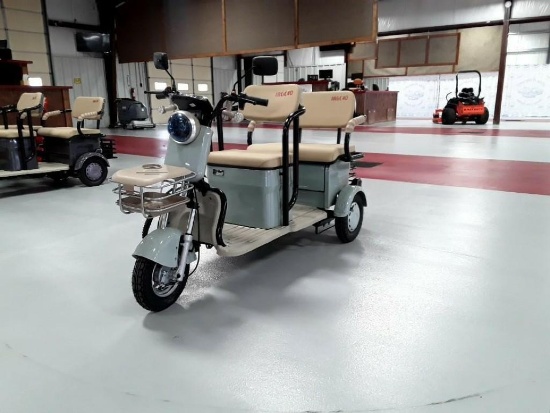 2025 IR IRGC40 MINIGOLF CART - 22% BUYER'S PREMIUM