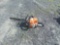 2014 STIHL MS170 SAW - CHAIN