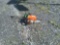 2013 STIHL MS261 CQ SAW - CHAIN