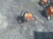 2015 STIHL MS250 SAW-CHAIN