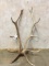Pair of Elk Sheds (ONE$)