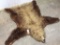 Brown Bear Rug on Plywood -Dry Rot -Missing Some Claws