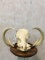Real Warthog Skull w/XL Reproduction Tusks
