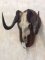 Black Wildebeest Skull w/Horns on Plaque