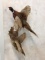 Flying Male & Female Pheasants (ONE$)