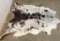Roughly 5x6 Cowhide