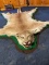 Felted Mountain Lion Rug