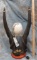 ELAND HORN LAMP W/SCRIMSHAWED OSTRICH EGG