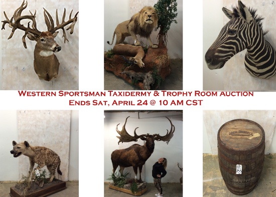 Western Sportsman Taxidermy & Trophy Room Auction