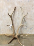 Pair of Elk Sheds (ONE$)
