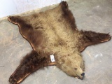Brown Bear Rug on Plywood -Dry Rot -Missing Some Claws