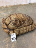 Sealed Sulcata Turtle Shell