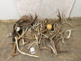 Box of Assorted Antler Sheds (ONE$)