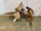 Pair of Fighting Pheasants (One$)