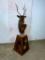 Sika Deer Pedestal
