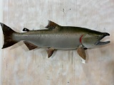 Salmon Fish Mt