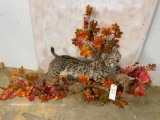 Lifesize Bobcat on Branch Wall Mt