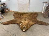 HUGE Brown Bear Rug