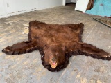 Cinnamon Black Bear Rug