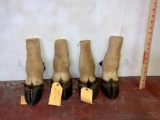 4 Hooves (4x$)