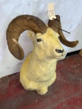 Yellow Painted Dall Sheep Sh Mt