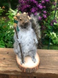 Awesome BACKPACKING Squirrel NEW Taxidermy 11