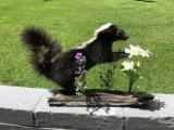 Beautiful Flower smelling Skunk, New Taxidermy = Peppy Lau-pue