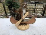 Cute little Pine Squirrel in a canoe - New Taxidermy 8 1/2