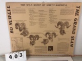 Bo Newell Signed and Numbered North American Sheep (ONE$)