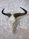 Wildebeest Skull