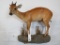 LIFESIZE DUIKER